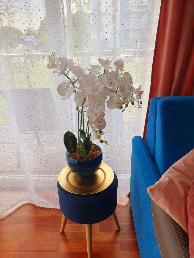 Apartament Comfort I โควอบเซก ภายนอก รูปภาพ